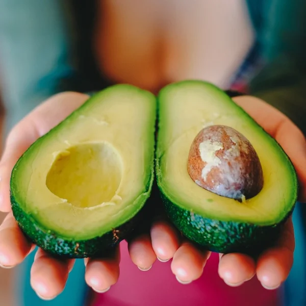 avocado-2115922_1280 avocado-2115922_1280